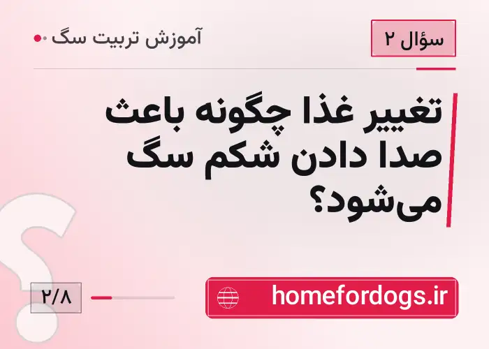 تغییر غذا چگونه باعث صدا دادن شکم سگ می‌شود؟