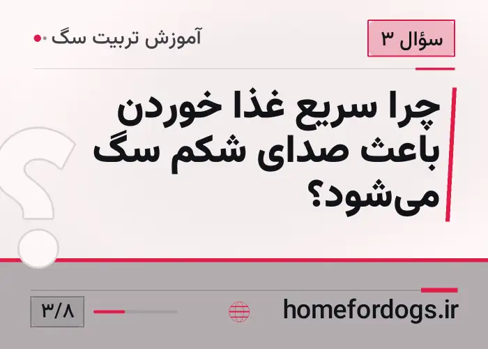 چرا سریع غذا خوردن باعث صدای شکم سگ می‌شود؟