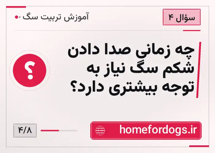 چه زمانی صدا دادن شکم سگ نیاز به توجه بیشتری دارد؟