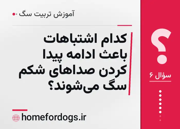 کدام اشتباهات باعث ادامه پیدا کردن صداهای شکم سگ میشوند؟
