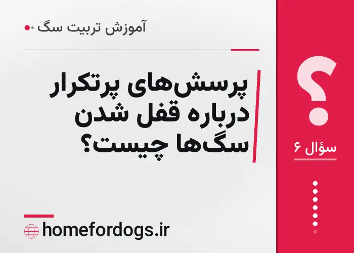 پرسش‌های پرتکرار درباره قفل شدن سگ‌ها چیست؟