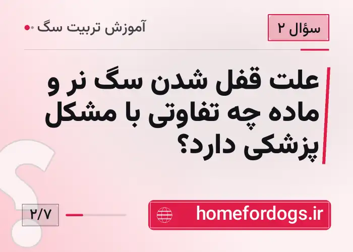 علت قفل شدن سگ نر و ماده چه تفاوتی با مشکل پزشکی دارد؟