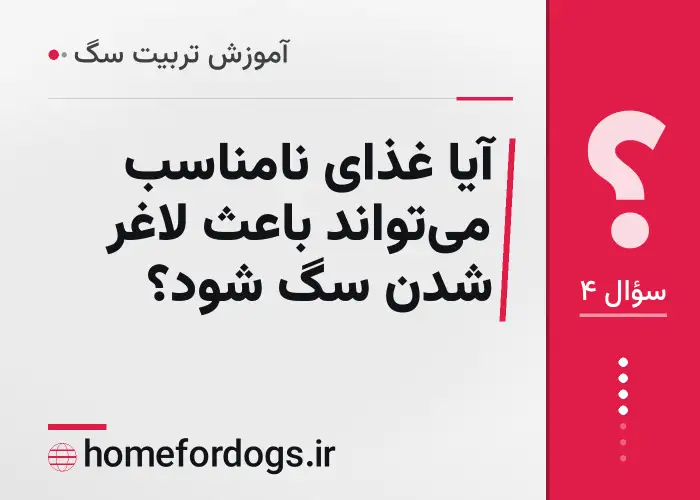 آیا غذای نامناسب می‌تواند باعث لاغر شدن سگ شود؟
