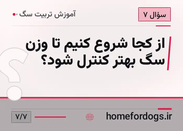از کجا شروع کنیم تا وزن سگ بهتر کنترل شود؟