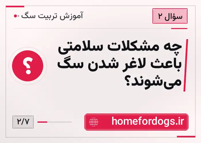 چه مشکلات سلامتی باعث لاغر شدن سگ می‌شوند؟