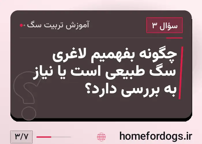 چگونه بفهمیم لاغری سگ طبیعی است یا نیاز به بررسی دارد؟