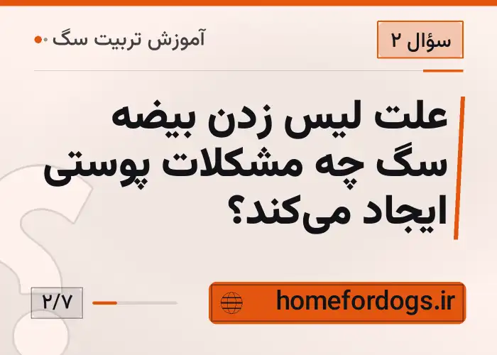 علت لیس زدن بیضه سگ چه مشکلات پوستی ایجاد می‌کند؟