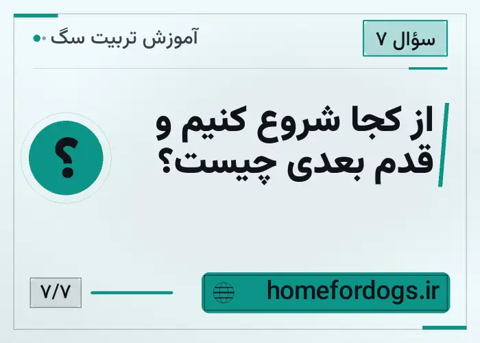 از کجا شروع کنیم و قدم بعدی چیست؟