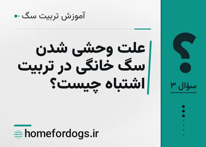 علت وحشی شدن سگ خانگی در تربیت اشتباه چیست؟