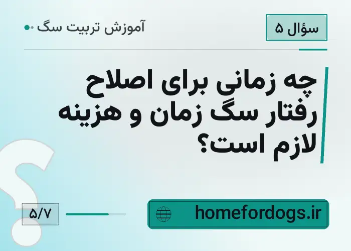 چه زمانی برای اصلاح رفتار سگ زمان و هزینه لازم است؟