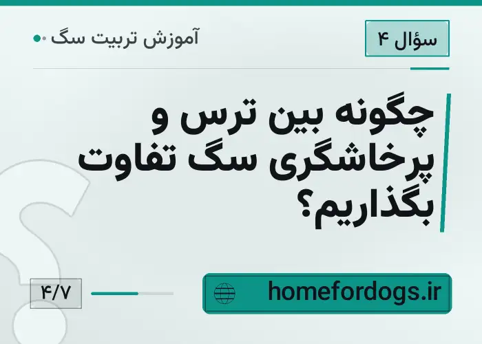 چگونه بین ترس و پرخاشگری سگ تفاوت بگذاریم؟