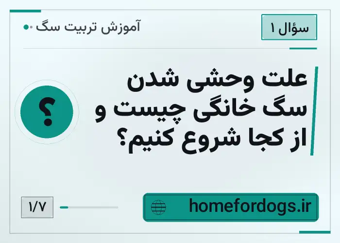 علت وحشی شدن سگ خانگی چیست و از کجا شروع کنیم؟