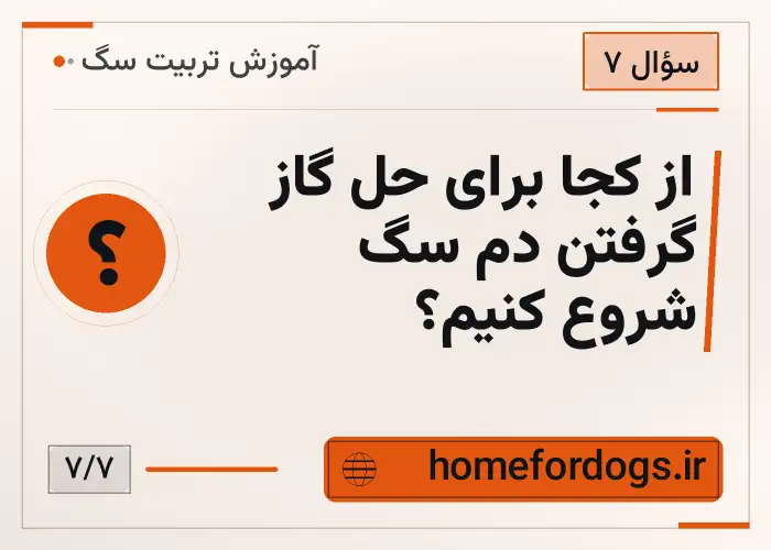 از کجا برای حل گاز گرفتن دم سگ شروع کنیم؟