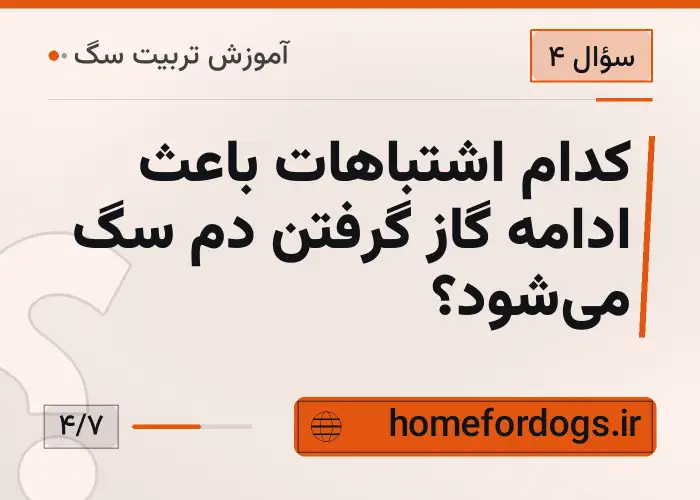 کدام اشتباهات باعث ادامه گاز گرفتن دم سگ می‌شود؟