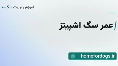 عمر سگ اشپیتز