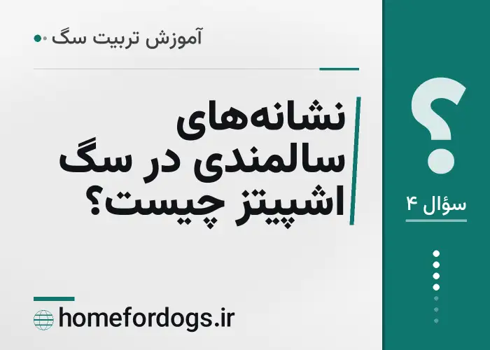 نشانه‌های سالمندی در سگ اشپیتز چیست؟