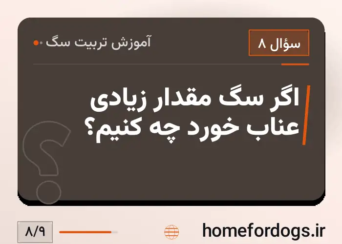 اگر سگ مقدار زیادی عناب خورد چه کنیم؟