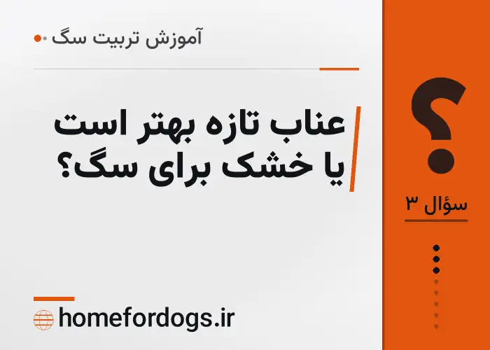عناب تازه بهتر است یا خشک برای سگ؟