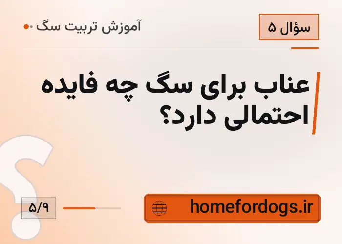 عناب برای سگ چه فایده احتمالی دارد؟