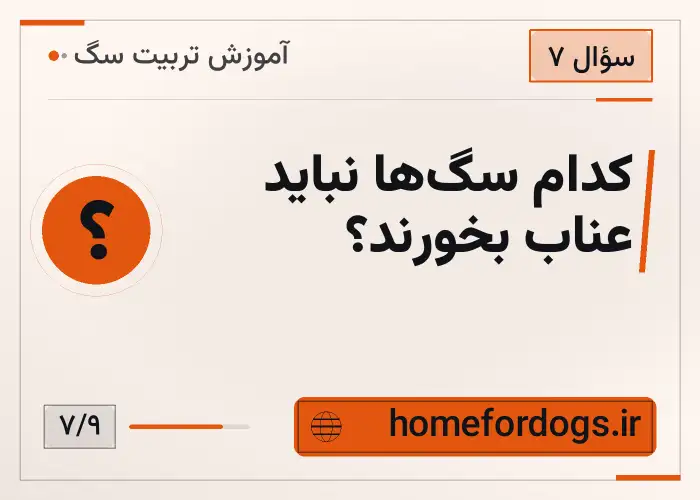 کدام سگ‌ها نباید عناب بخورند؟
