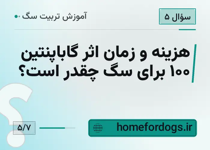 هزینه و زمان اثر گاباپنتین ۱۰۰ برای سگ چقدر است؟