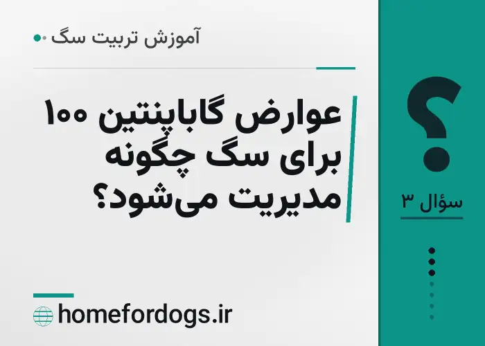 عوارض گاباپنتین ۱۰۰ برای سگ چگونه مدیریت می‌شود؟