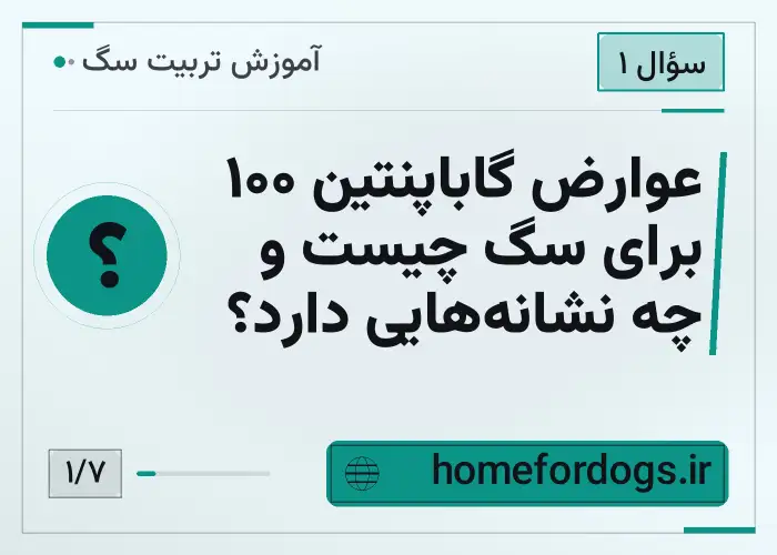 عوارض گاباپنتین ۱۰۰ برای سگ چیست و چه نشانه‌هایی دارد؟