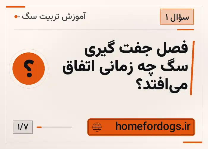 فصل جفت گیری سگ چه زمانی اتفاق می‌افتد؟