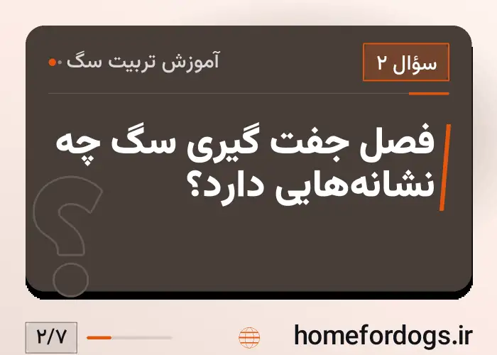 فصل جفت گیری سگ چه نشانه‌هایی دارد؟