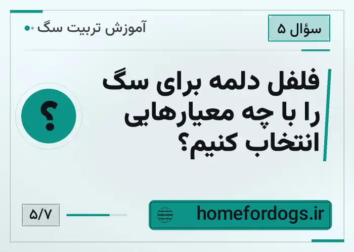 فلفل دلمه برای سگ را با چه معیارهایی انتخاب کنیم؟