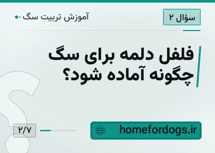 فلفل دلمه برای سگ چگونه آماده شود؟