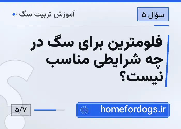 فلومترین برای سگ در چه شرایطی مناسب نیست؟