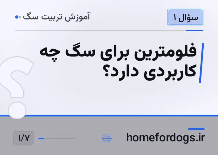 فلومترین برای سگ چه کاربردی دارد؟