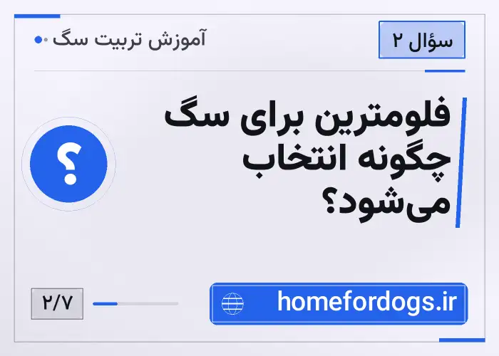 فلومترین برای سگ چگونه انتخاب می‌شود؟