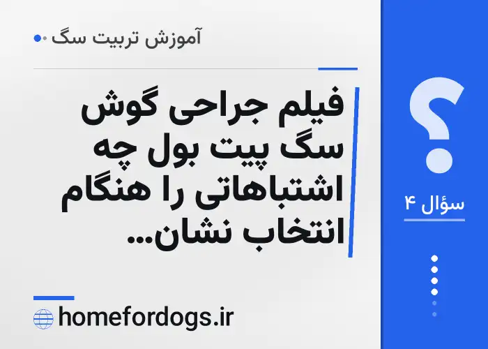 فیلم جراحی گوش سگ پیت بول چه اشتباهاتی را هنگام انتخاب نشان می‌دهد؟