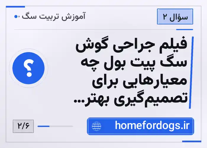 فیلم جراحی گوش سگ پیت بول چه معیارهایی برای تصمیم‌گیری بهتر نشان می‌دهد؟