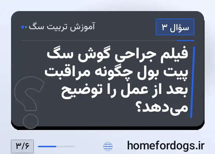 فیلم جراحی گوش سگ پیت بول چگونه مراقبت بعد از عمل را توضیح می‌دهد؟