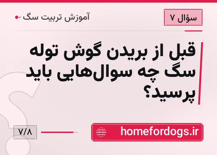 قبل از بریدن گوش توله سگ چه سوال‌هایی باید پرسید؟