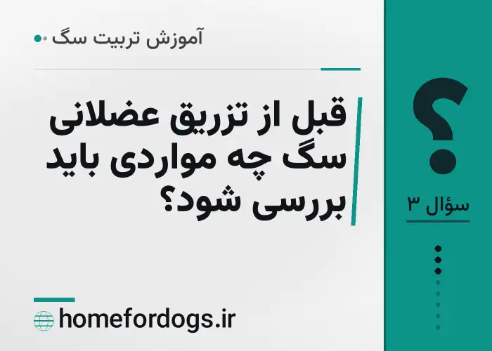 قبل از تزریق عضلانی سگ چه مواردی باید بررسی شود؟