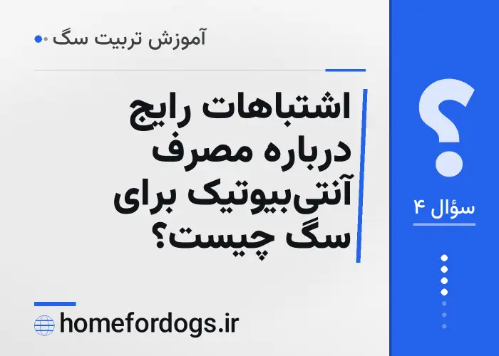 اشتباهات رایج درباره مصرف آنتی‌بیوتیک برای سگ چیست؟