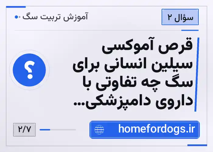 قرص آموکسی سیلین انسانی برای سگ چه تفاوتی با داروی دامپزشکی دارد؟
