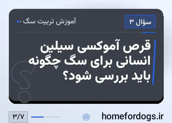 قرص آموکسی سیلین انسانی برای سگ چگونه باید بررسی شود؟