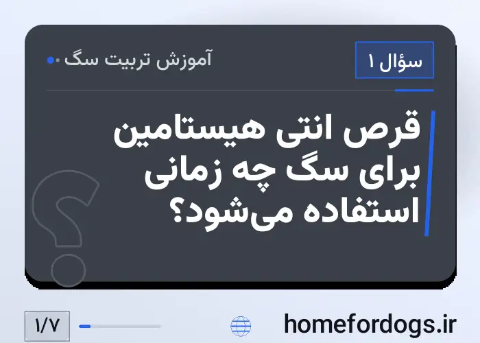 قرص انتی هیستامین برای سگ چه زمانی استفاده می‌شود؟