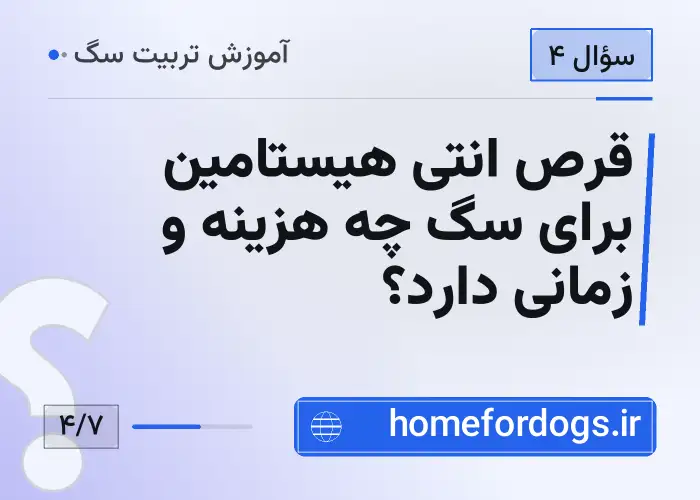 قرص انتی هیستامین برای سگ چه هزینه و زمانی دارد؟