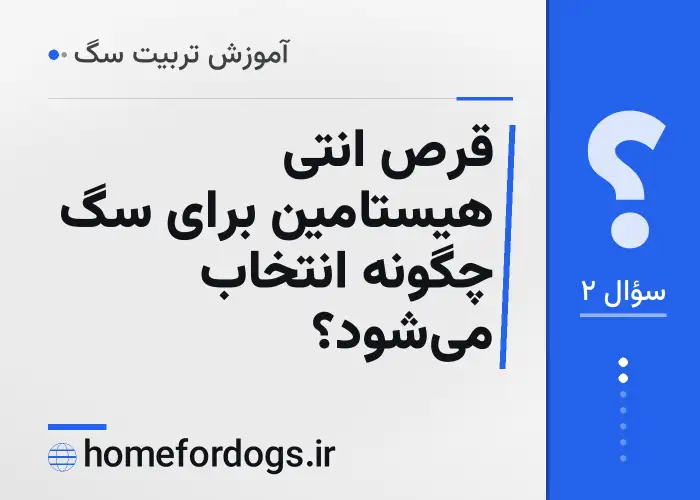 قرص انتی هیستامین برای سگ چگونه انتخاب می‌شود؟