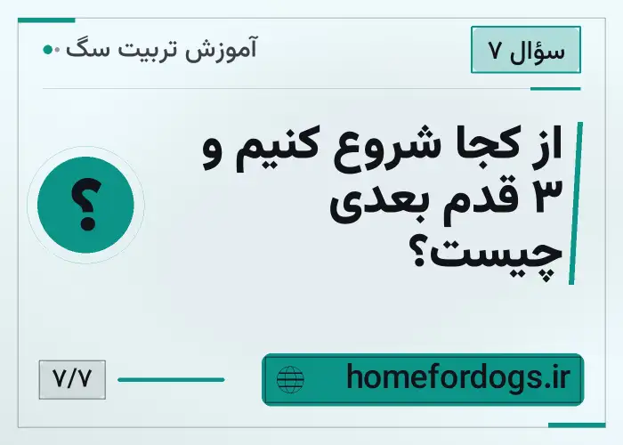 از کجا شروع کنیم و ۳ قدم بعدی چیست؟