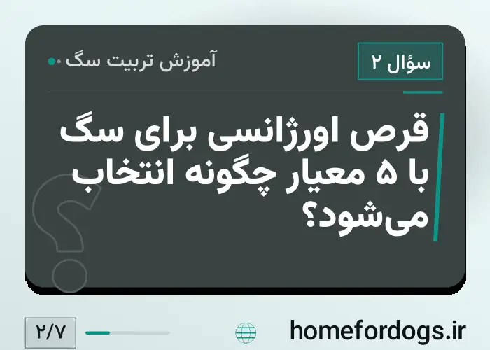 قرص اورژانسی برای سگ با ۵ معیار چگونه انتخاب می‌شود؟