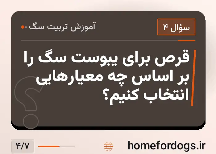 قرص برای یبوست سگ را بر اساس چه معیارهایی انتخاب کنیم؟