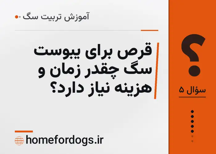 قرص برای یبوست سگ چقدر زمان و هزینه نیاز دارد؟