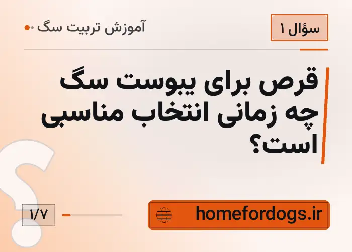 قرص برای یبوست سگ چه زمانی انتخاب مناسبی است؟